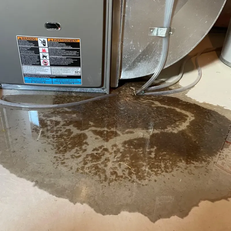 Appliance Leak Cleanup in Monroe City, MO