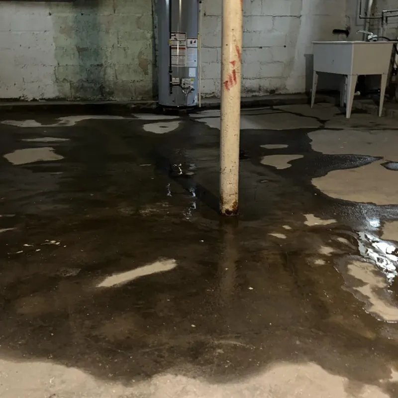 Emergency Water Extraction And Removal in Monroe City, MO